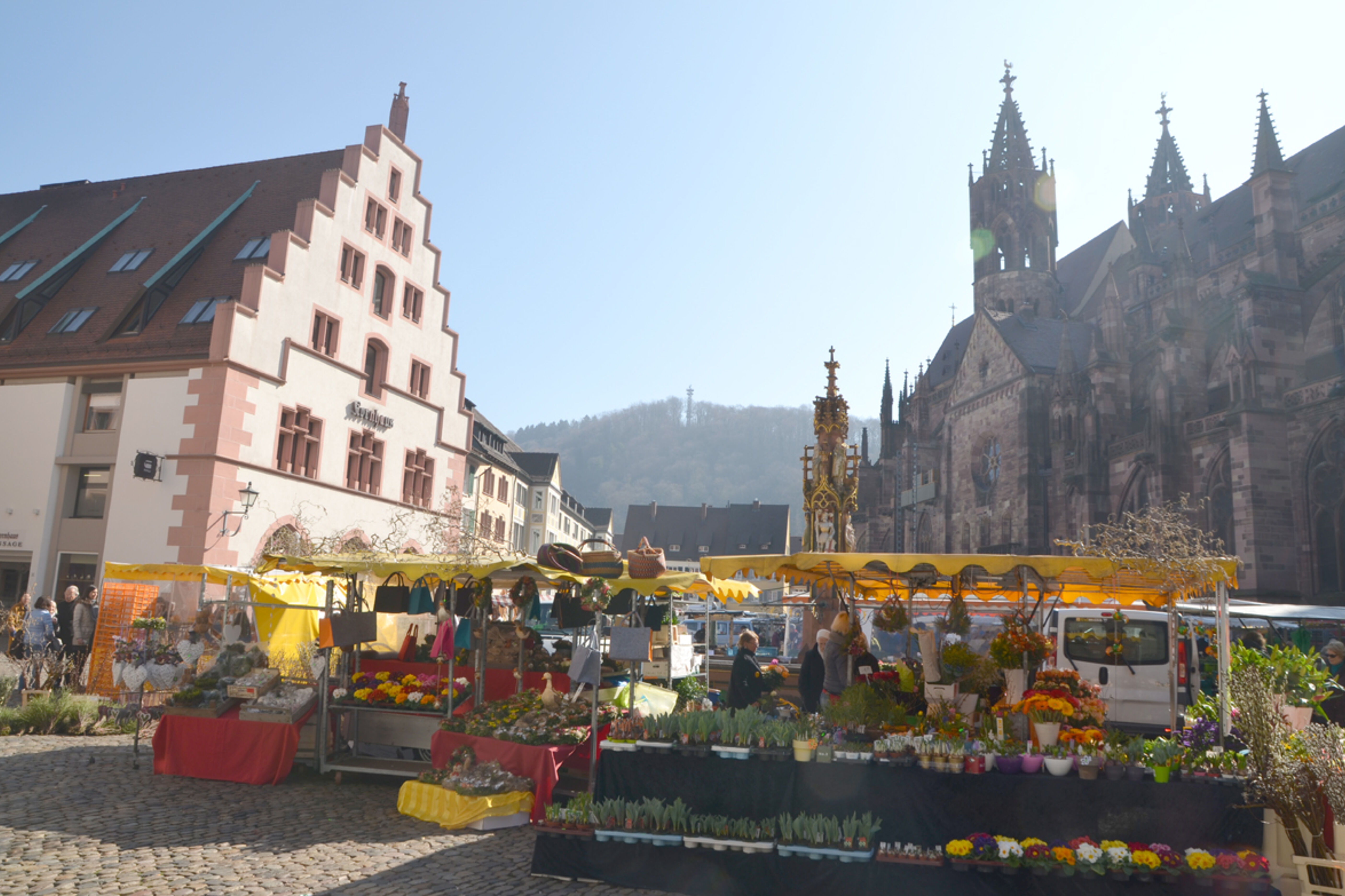 Celenus Fachklinik Freiburg Stadt